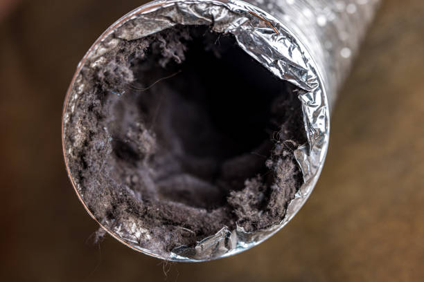 Best Air Duct Inspection  in Phenix City, AL