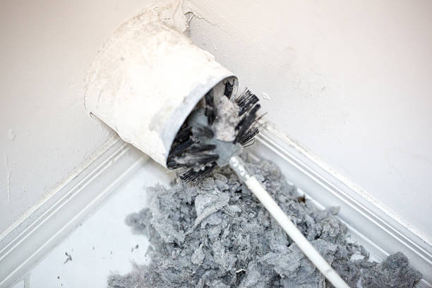 Best Affordable Duct Cleaning Services  in Phenix City, AL